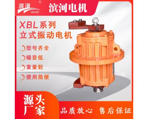 XBL系列法兰式立式振动电机