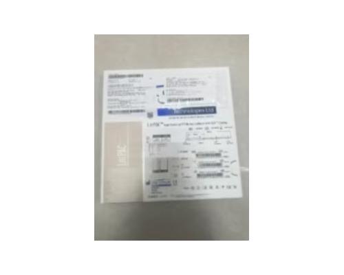 PTA球囊导管68202087
