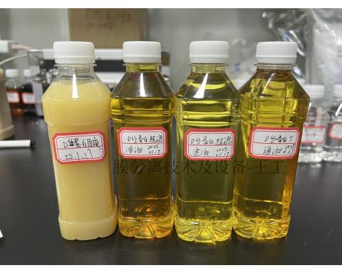 蛋白酶膜提纯浓缩系统