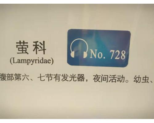 智能导览点播机穹游导游机景区智慧导览系统自动感应设备