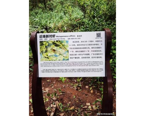 景区扫码导览系统博物馆多语种自助导览系统