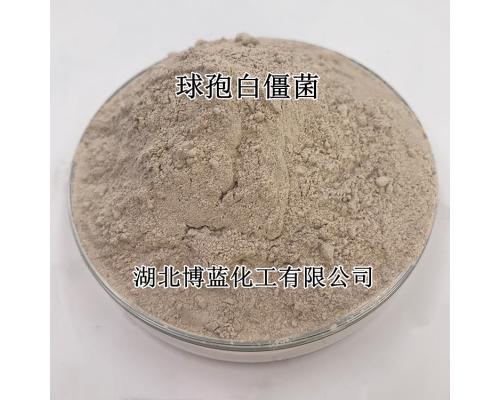 100亿孢子/克球孢白僵菌杀虫剂