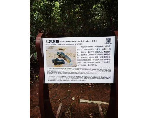 展览活动二维码讲解设备扫码小程序