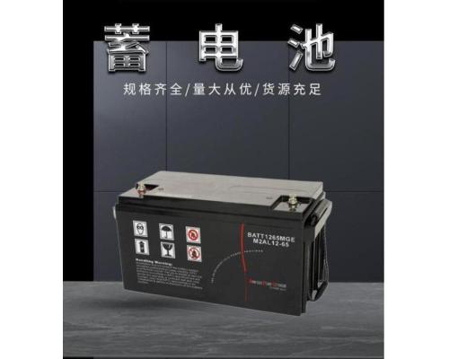 施耐德蓄电池M2AL12v-65AH代理商报价