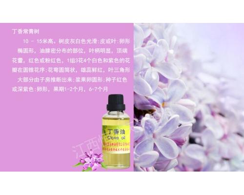 丁香油