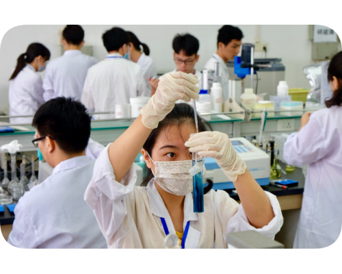 固體增塑劑ROHS2.0 十項