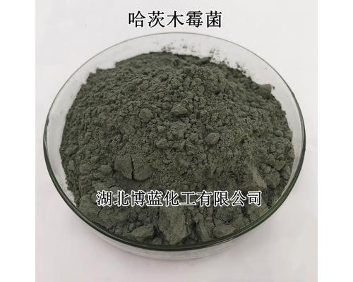 哈茨木霉菌杀虫剂