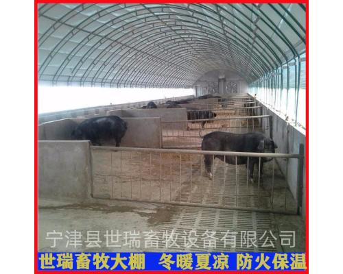 养猪场猪舍大棚建设