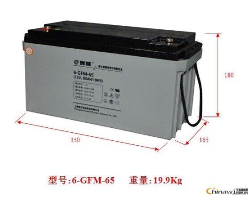 復(fù)華蓄電池6-GFM-65/12v65Ah技術(shù)支持