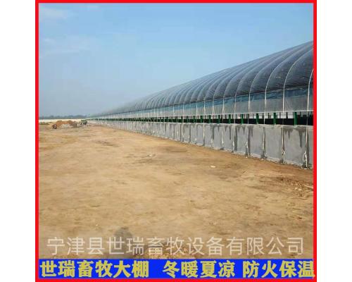 建设肉牛养殖大棚成本