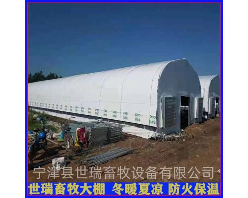 搭建养鸭大棚材料施工