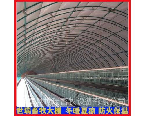蛋鸡养殖大棚建设方法