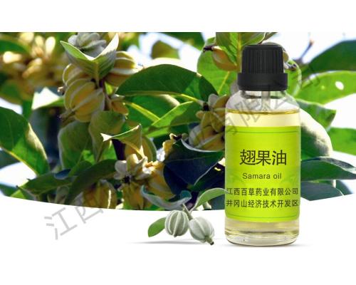 翅果油