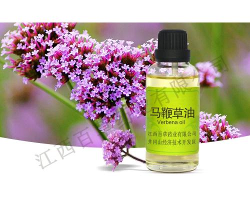 馬鞭草油