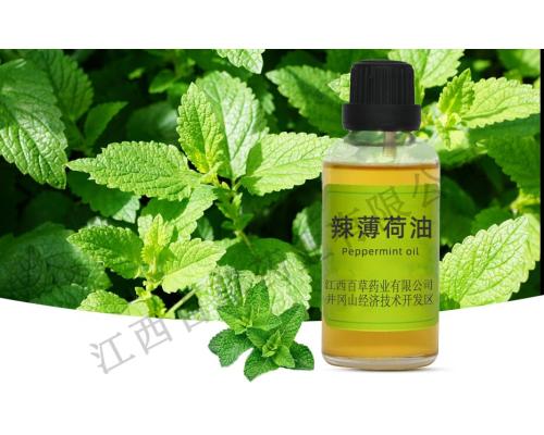 辣薄荷油