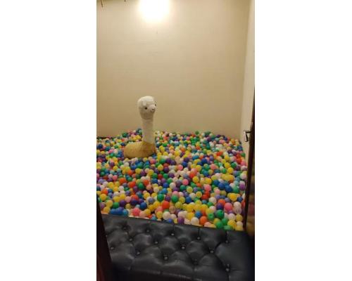 小丑服裝彩色球