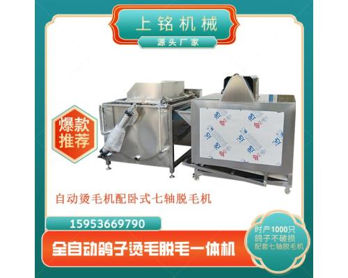 小型全自动鸽子烫毛脱毛一体机