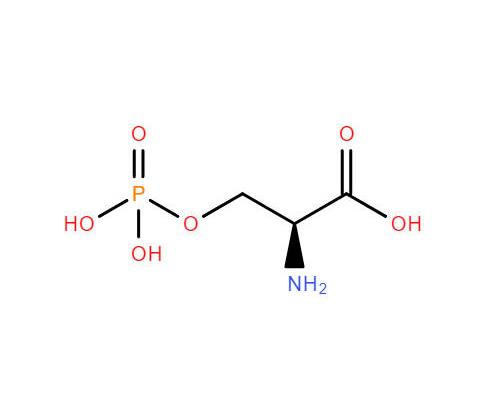 L-O-磷酸丝氨酸