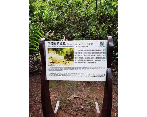 扫码讲解小程序展览馆语音导览设备