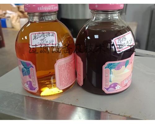 米酒果汁茶汤食品饮料错流膜过滤设备