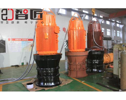 500QZB潜水轴流泵