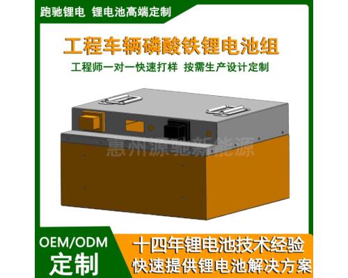 电动巡逻机器人设备专用锂电池24V36V48V100Ah磷酸铁锂电池组定制