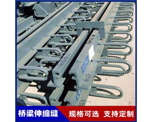 多向变位桥梁伸缩缝可按需定制