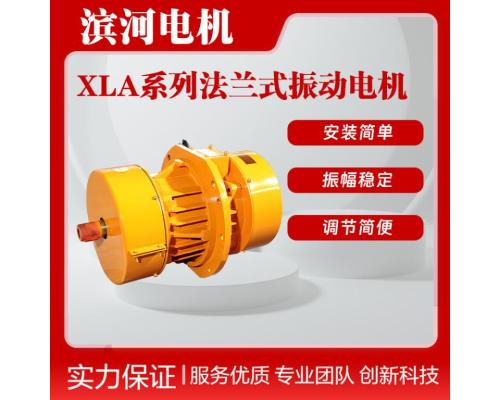 XLA系列法兰式侧板振动电机