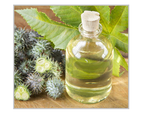 蓖麻油Castor Oil