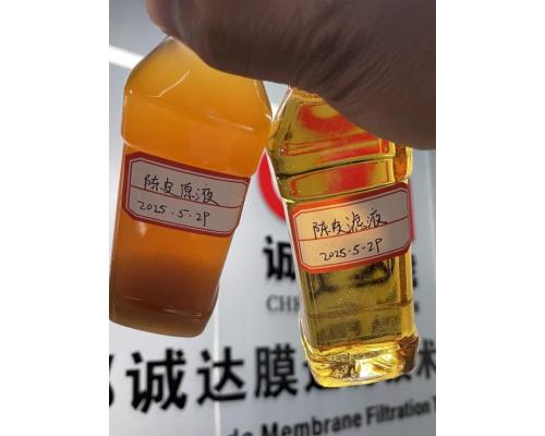 CD-ZK80-2X果汁饮料超滤膜系统苹果汁梨汁错流过滤机