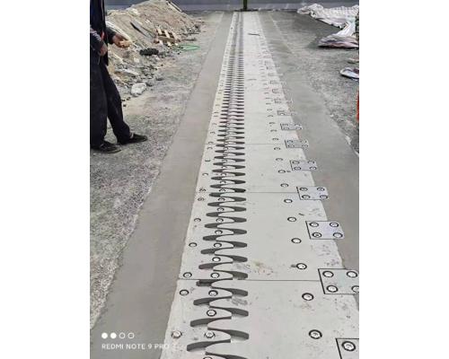 RBKF160型梳齒板式伸縮縫高速公路用梳齒板縫伸縮裝置安裝施工
