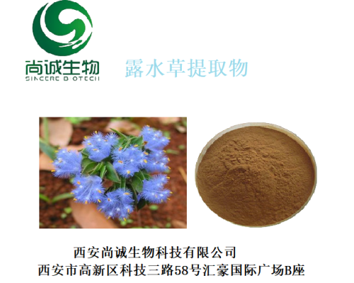 露水草提取物 蛻皮甾酮