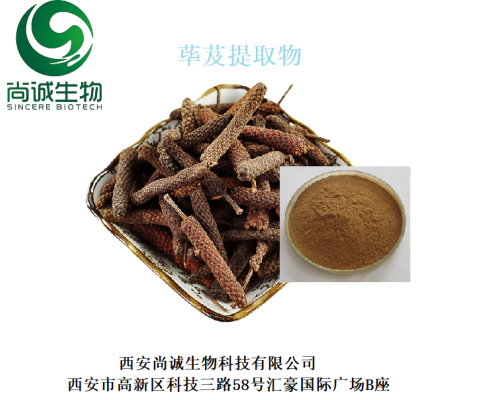 蓽茇提取物