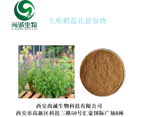 毛喉鞘蕊花提取物