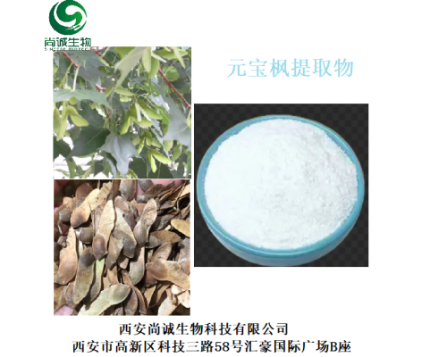 元寶楓提取物