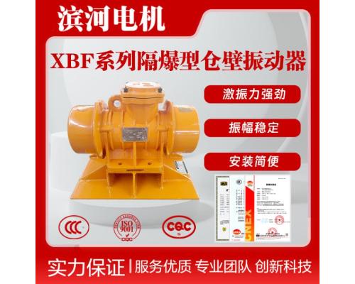 XBF系列隔爆型料仓振动器