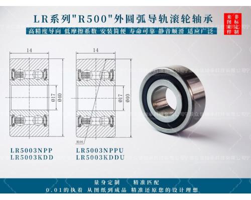 LR5003NPPU轴承LR5003KDDU导轨滚轮轴承