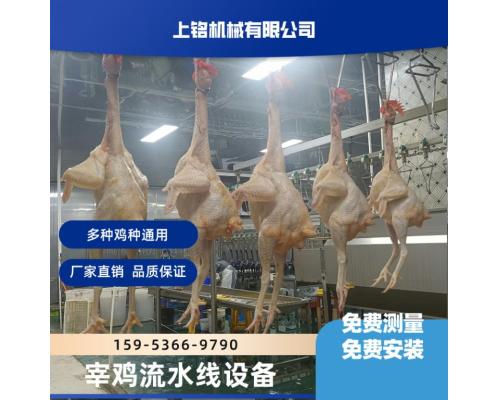 全自动白羽鸡流水线