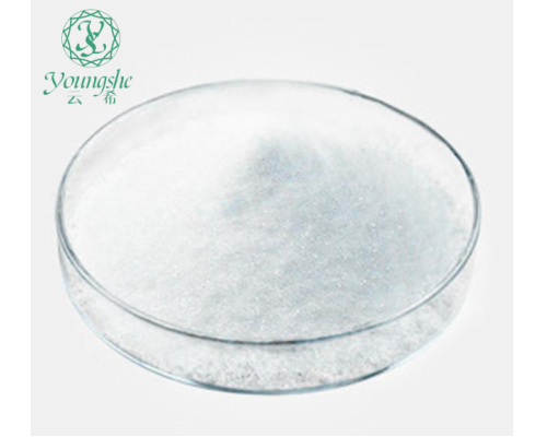 亮氨酸脑啡肽  Leu-Enkephalin  CAS：58822-25-6