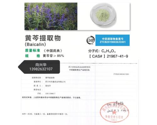 黄芩提取物