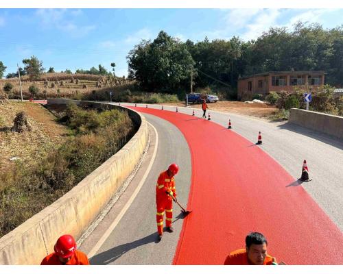 辅路盲道高分子彩色路面
