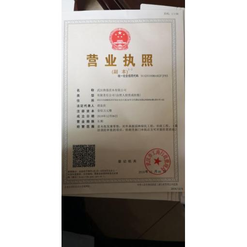 工商营业执照