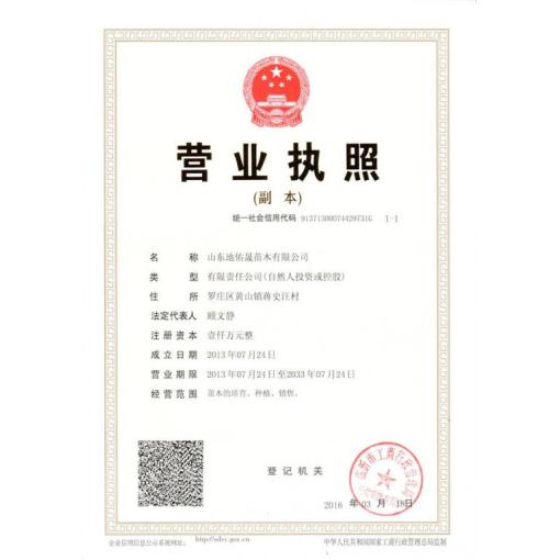 工商营业执照