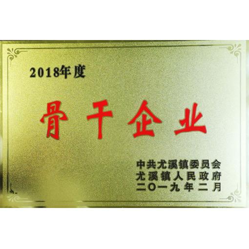 2018年度获得镇骨干企业<