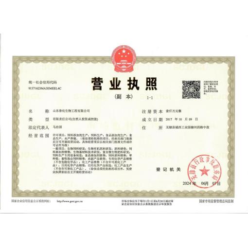 工商营业执照