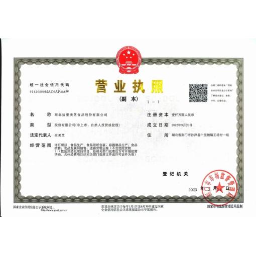 工商营业执照