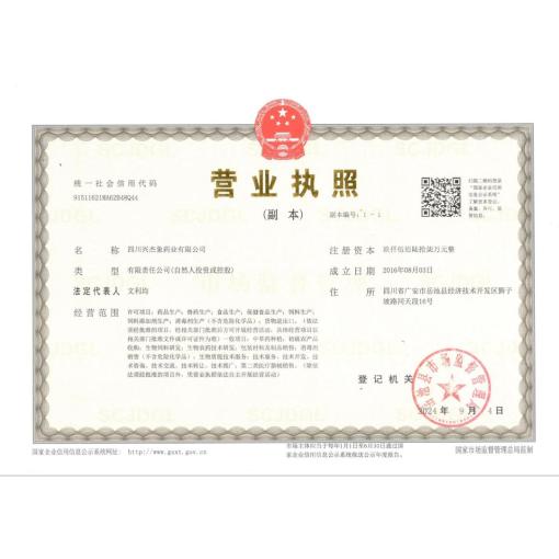 工商营业执照