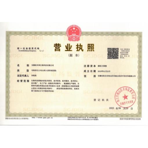 工商营业执照